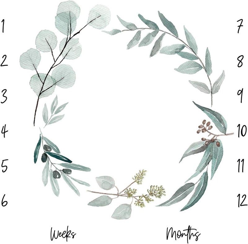 Miaoberry Organic Baby Monthly Milestone Blanket Newborn Boy Girl Unisex Gender Neutral| Green Leaf Wreath Eucalyptus Baby Nursery Month Picture Blanket| Growth Photography Background Prop|Birth Announcement - Image 2